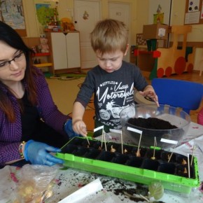 Kącik przyrody w grupie 